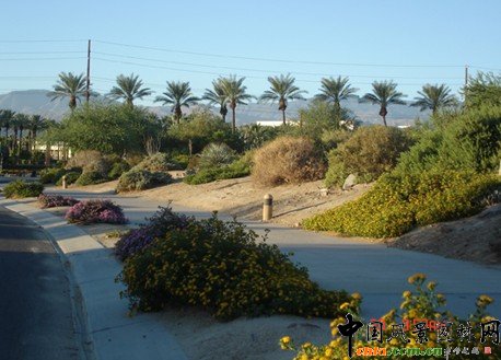 ���������@��ֲ������a(ch��n)���o�ܽY(ji��)�ψ@��ֲ���쾰�����Pԭ�t�cҪ��