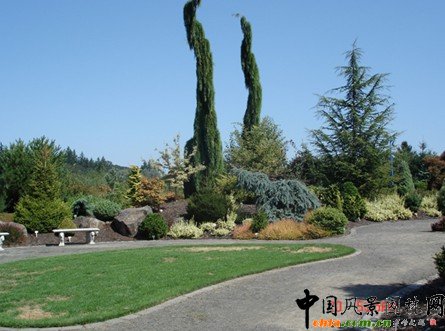 ���������@��ֲ������a(ch��n)���o�ܽY(ji��)�ψ@��ֲ���쾰�����Pԭ�t�cҪ��