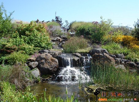 �@��ֲ��ľ��^��(y��ng)��