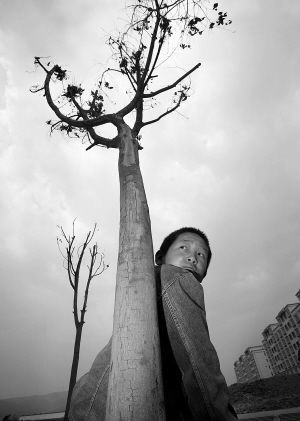 �����˳ɾG����ľ����ˮ���(�M�D)