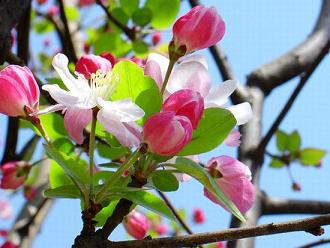 2010�걱�����p��̤�ഺ��ϵ�л�ӆ���