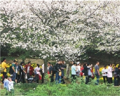 ʡֲ��@�TƱ��ʲôһ�q�ٝq