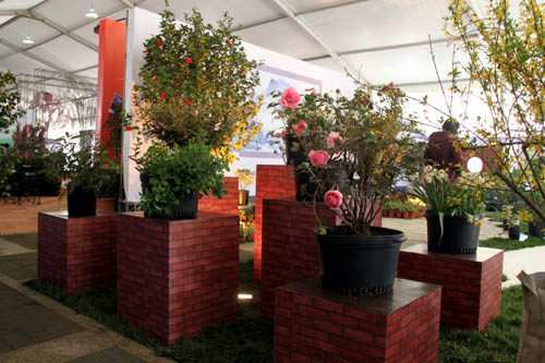 ����ʣ���һ����Ʒ�@�֪q����һ�P��ˮƽ�ć���