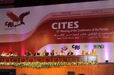 ���lΣҰ����(d��ng)ֲ��N��(gu��)�H�Q(m��o)�׹��s����ʮ��þ��s��(gu��)���(hu��)�ڶ���e��