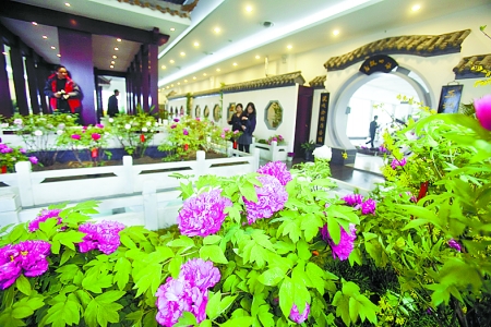 3��30������ꖇ���ĵ���@�½���ĵ��չ�[�^�_�^