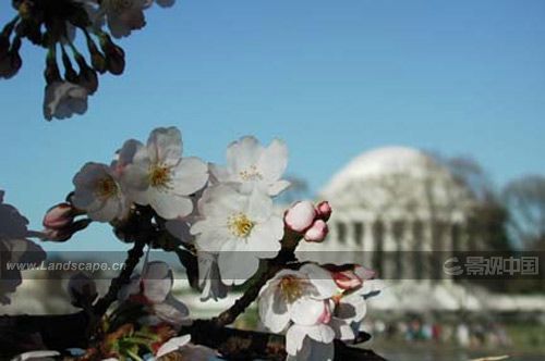 �c�����´��ڞg�[�DƬ