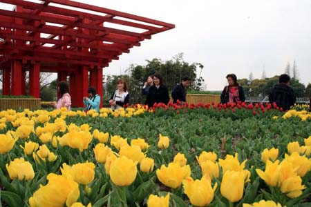 �Ϻ�ֲ��@�@�L�����t����������������^���б��ϡ�