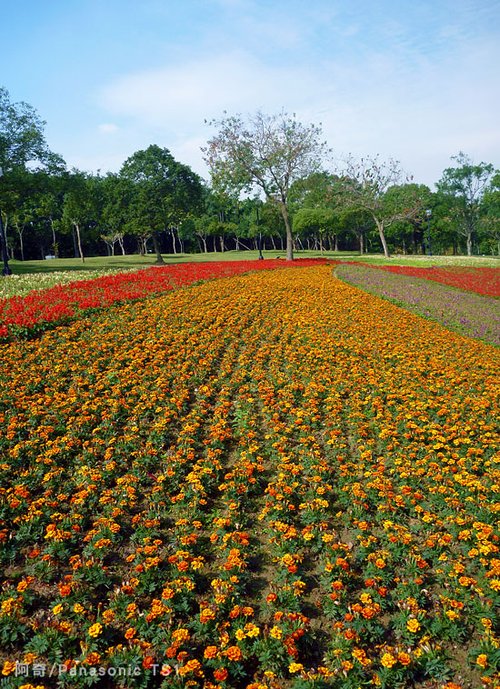 �������Zȫ���� СDCҲ���ĳ��û���