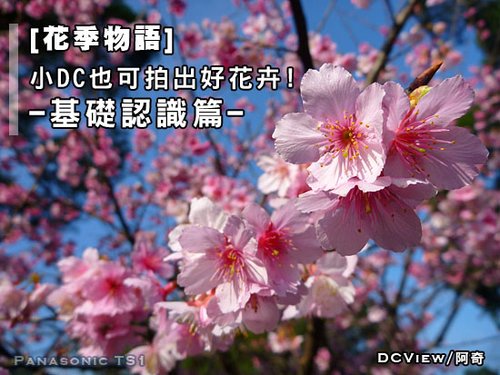 �������Zȫ���� СDCҲ���ĳ��û���