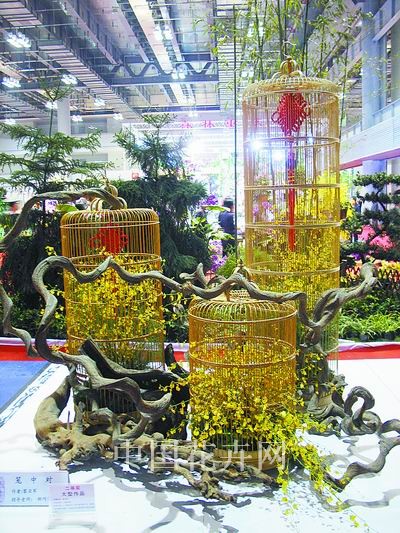 �ؑc�mչ���m����ˇ���M�@�L(f��ng)��(�D)