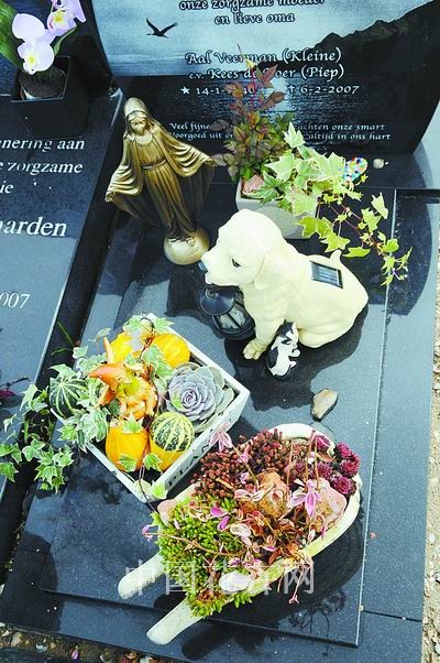 �����r��