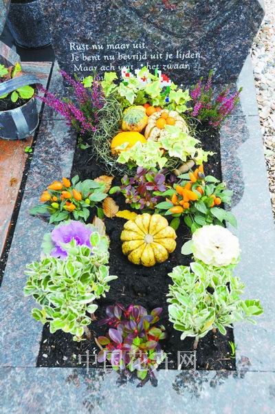 �����r��