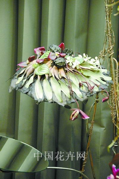 ���籭��ˇ��ِ��Ʒ���p