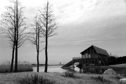 �|����ع��@���µ��_�Tӭ��