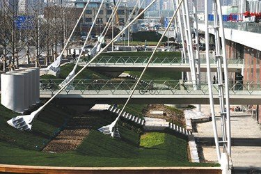 ǧ�������S"��ӳ��" �³�ͥԺչ�G�����B