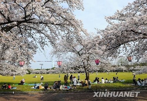 ����֮��չ�^��ʲô�����������fַ̽�L