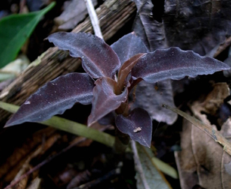 �t��ָ���m