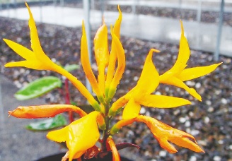 ���K���m