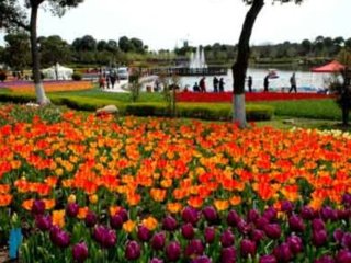 ȫ�����ؽ��ڻ���չ�R��