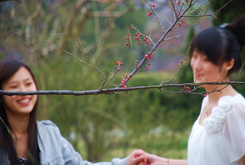 ��ɽ���@��(n��i)�����Ƕ������z���]�к������ŵ��E��