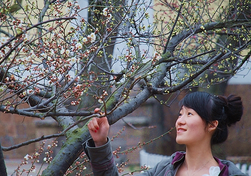 �ܵ͜�Ӱ푣��z�ϴ���ɽ�Ķ��N�������t�˰낀��