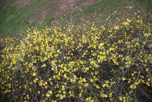 �˴��P(gu��n)�ڶ���ˮԡ��������ӭ���������`��