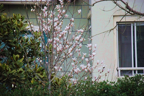 ���T·һ̎����ҵ�С�@�����r�������`��