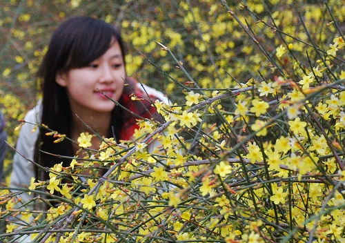 �˴��P(gu��n)�ڶ���ˮԡ��������ӭ���������`��