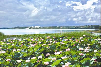 �D�ģ��@�ֳ��� ��̼���