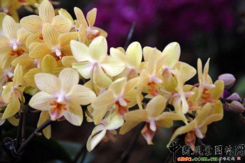 ����M�D����12�û��܈@ˇչ�ϵ���������