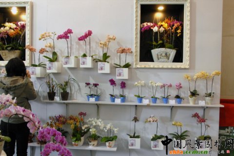 ��12�û��܈@ˇչ�ϵ���������