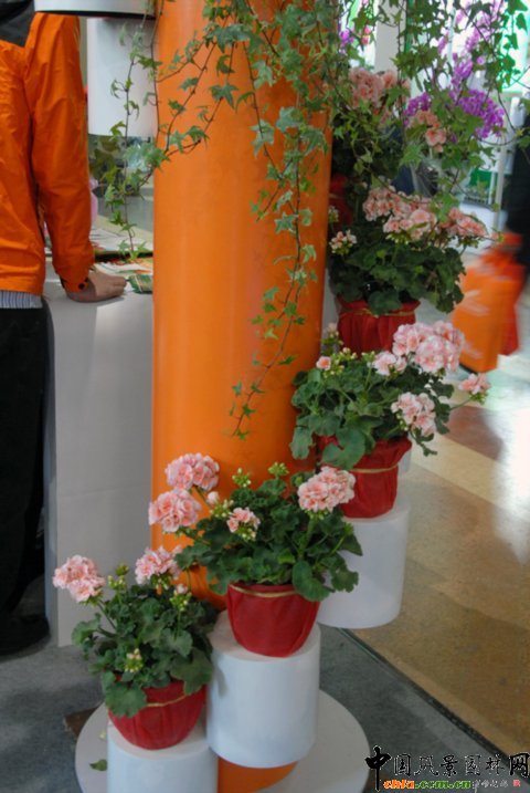 ��12�û��܈@ˇչ�ϵ���������