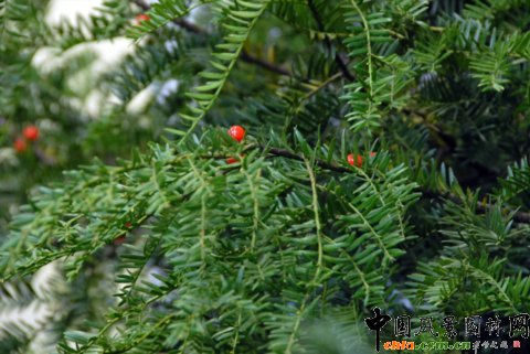 ����M�D����12�û��܈@ˇչ�ϵ���������