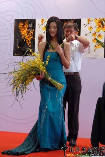 ����M�D����12�û��܈@ˇչ�ϵ���������