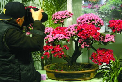 �F�ݣ��������ǰ�p3�׸ߡ��������N�����D��