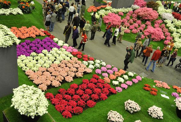 ��34�ø��ػ�չ�ڱ����r�������и����_Ļ