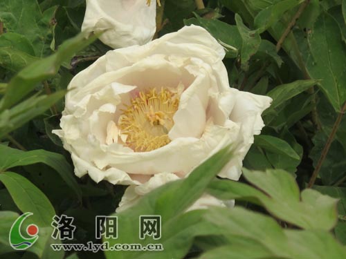 ��ꖣ����ИOƷ�������S��ĵ��ʢ�_(�D)