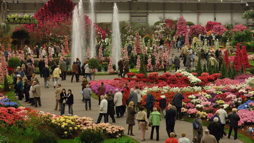 2010年國際花展一覽表