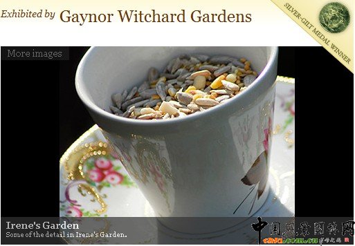 ���չ�@�����չ�@���������ջ��@��Irene��s Garden��