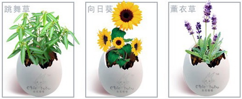 ��12�û��܈@ˇչ���@ˇ���I�߽�����ηN��