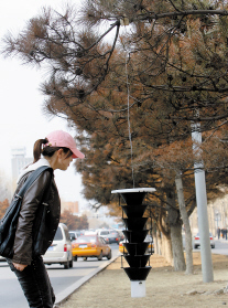 �L�����ɘ䷺�S���l�t ���ң��������˳��в�