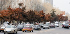 �L�����ɘ䷺�S���l�t ���ң��������˳��в�