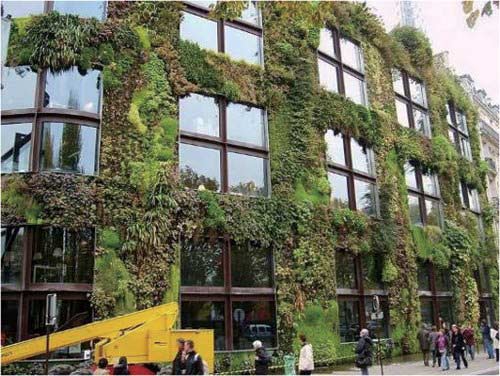 ��������ֲ�