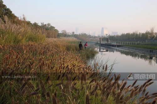 �c�����´��ڞg�[�DƬ