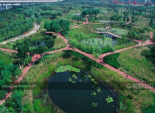 �c�����´��ڞg�[�DƬ