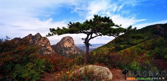 ��ɽ �ֺ��ɝ� Hengshan Mountain, Pine woods