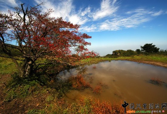 ����ɽ�L�����م^��R̶ Yinma Pond