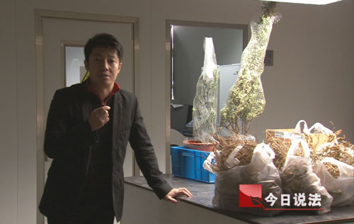 進入世博園植物動物甚至外國食品都須檢疫(組圖)