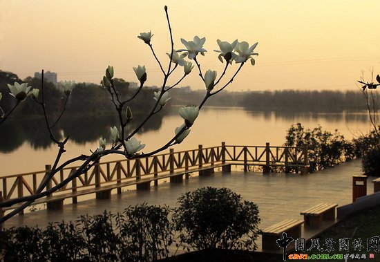 �M���Ј@�����ΞI�����@