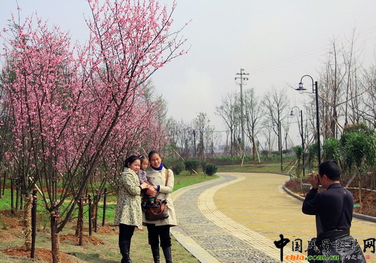 �M���Ј@�����ΞI�����@